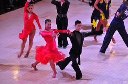 Picture16